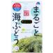  целиком море виноград 33g ( вода .... примерно 50g) простой 60 секунд соль вытащенный Okinawa префектура производство море виноград 