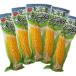  Hokkaido кукуруза retort кукуруза кукуруза сладкий кукуруза .. просо retort кукуруза вакуум упаковка 5 шт. комплект Yellow corn 