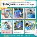 �y�A�E�g���b�g�i�z�L�b�Y�e���g �{�[���v�[�� �{�[���n�E�X �������� �j�̎q �q���������� �A�E�g�h�A �d�� �D�� �V���� �v���[���g �a���� �֘A�摜3
