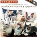 オリジナル オーダーメイドクッション オーダー クッション 犬 猫  写真入り  メモリアル ペットイヌ ネコもちもち ふわふわ 受注生産