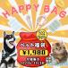 |2024 year pet lucky bag | profit circle wash possibility . middle measures cold sensation cool ring pet cool mat one push type b lashing brush cold sensation goods dog laundry contact cold sensation 