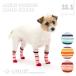 [ multi border long socks SS-S] dog socks socks dog. socks shoes under small size dog papi- slip prevention stylish dog socks LIFELIKE