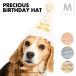  Precious день рождения шляпа M собака кошка день рождения шляпа средний собака большой собака головной убор шляпа фотосъемка день рождения симпатичный лента подарок праздник 