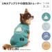 UMA�A�b�v���P�g���[�i�[1-4��2L-3L �� �� �H �~ UMA �c�`�m�R �l�b�V�[ �G�C���A�� �C�G�e�B ���킢�� �g���[�i�[ ���^�� �_�b�N�X