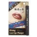 【ライジング ラブリップスプランパー Love Lips Plumper 】[ネコポス対応商品]