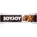 SOYJOY(祤) ɥ祳졼 30g*1