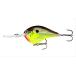 Rapala(ラパラ) クランクベイト DT ダイブストゥ 6cm 17g ホットマスタード HM DT10-HM ルアー