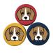si-(SHIH) маленький жестяная банка кейс Beagle 3 -цветный набор W65×H45mm
