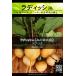 西洋野菜種子 ラディッシュ ズラータ [Life with Green]