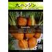 西洋野菜種子 丸ニンジン パリザーマート ×3袋【送料無料】 [Life with Green]