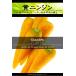 西洋野菜種子 黄ニンジン ジャンヌドウブス [Life with Green]