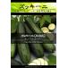 西洋野菜種子 ズッキーニ ナノベルデミラノ [Life with Green]