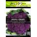 西洋野菜種子 カリフラワー ディシシリアバイオレット ×3袋【送料無料】 [Life with Green]