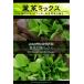 西洋野菜種子 メスクランサラダ用 葉菜13種ミックス [Life with Green]