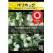 宿根草種子 八重咲きアルセア チェイターズ ホワイト [Life with Green]