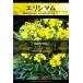 宿根草種子 エリシマム アリオニー [Life with Green]