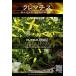 宿根草種子 PRO-SEEDS クレマチス レダーラブ [Life with Green]