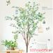 �E�H�[���X�e�b�J�[ �A�� �� �� ������� �J�t�F ���_�� ������  �ǎ� �k�� ���� ���� DIY ���t�H�[�� ���R �傫�Ȗ� �X�� �X