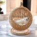  кошка bed ротанг домашнее животное bed купол type кошка ... способ домашнее животное коврик висячий стул C&amp;J( АО ) коготь .. соответствует подвешивание type кошка кошка .. модный 