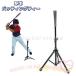  batting подча с подставки подставка чай подставка бейсбол для софтбола бейсбол C&amp;J софтбол удар . тренировка складной штатив type высота настройка возможность тренировка товары тренировка контейнер 