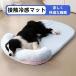  домашнее животное bed .... собака bed кошка bed летний охлаждающий .... коврик большой собака C&amp;J средний собака clover маленький собака . собака ... . прохладный коврик компактный новый жизнь 
