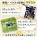 �� ���p�n�[�l�X �����p�n�[�l�X �V�� ��� � ���s�⏕ ���p�i ��^�� ��둫 �T�|�[�g�p�i �y�b�g ���^�� ���^�� �֘A�摜4