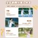 �t�@�~���[�o�h�~���g�� ��l���K�� ������? �q���^���s������ �����V�уo�h�~���g���g���[�j���O ������ �������� �Ǔ\��t�� �ȒP�ݒu���� �֘A�摜2