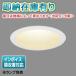 [ юридическое лицо ограничение ][ немедленная уплата наличие есть ] LEDD-28013 Toshiba LED встраиваемый светильник E26Φ100 * лампа продается отдельно [ LEDD28013 ]