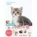  покупатель DL привилегия есть нежный Cats Diary 2023( привилегия : смартфон обои данные распределение ) ( Impress блокнот 2023)