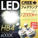 LED ե HB4 6000K ե饤 CREE  12000LM