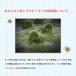 �_�j�悹�Q�b�g�V�[�g �_�j�߂�V�[�g 10���Z�b�g �_�j�Ƃ�V�[�g �_�j�悯�V�[�g �_�j�΍� �_�j�V�[�g �h�_�j�V�[�g �֘A�摜1