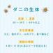 �_�j�悹�Q�b�g�V�[�g �_�j�߂�V�[�g 10���Z�b�g �_�j�Ƃ�V�[�g �_�j�悯�V�[�g �_�j�΍� �_�j�V�[�g �h�_�j�V�[�g �֘A�摜2