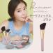 Ririmewli limi .u щеки фиксирующие детали щетка Sashihara Rino производить cosme 