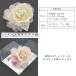 �y�ē��ׂȂ��z �R�T�[�W�� (cs31) ���{�� ������ ���Ǝ� ���w�� ������ ������ �� �p�[�� �L���L�� ���[�X �z���C�g �V���o�[ �O���[ �s���N �P�[�X�t �֘A�摜3