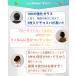 iPhone17 �K���X�t�B���� �u���[���C�g�J�b�g �S�ʕی� iPhone16 17e 17Pro Max Air �ی�t�B���� �S�� iPhone15 iPhone14 13 12 11 Pro Max Plus mini 10H 2�� �֘A�摜4