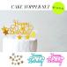 Happy Birthday + �X�^�[ �P�[�L�g�b�p�[ �O���b�^�[ �a���� �o�[�X�f�[ ���a���� �f�R���[�V���� �L�O�ʐ^ �ʐ^�B�e ���ʃO���b�^�[ �M�L�� �P�[�L �����i