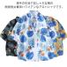 �A���n�V���c �a�� �����Y ���f�B�[�X ������� �{�^�j�J�� �A���n�V���c �A���n�V���c ���� ��l �l�C�r�[ �n���C�V���c �傫���T�C�Y ���� �� �֘A�摜4