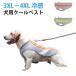 �⊴ ���� �G�炷 UPF50 �x�X�g ���b�V�� �L �� �G�炵�Ē����� �N�[���x�X�g �N�[�� �E�F�A �� �L�� �^���N�g�b�v �y�b�g�E�F�A �ʋC��