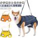  уход для Harness задний пара приспособление для ходьбы собака переустановка простой уход для Harness средний собака . собака передний пара настройка возможность Harness маленький размер собака пассажирский для домашних животных приспособление для ходьбы - - травма рука 