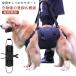  помощь большой собака собака вставание уход ремень собака Harness задний пара приспособление для ходьбы Harness уход Harness ремень средний собака большой собака высота . собака средний собака помощь ремень 