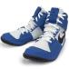  рестлинг обувь f- Lee FURY Royal × белый NIKE AO2416Z-401