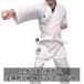 �A�f�B�_�X ��� ���� �T�C�Y�����\ WKF���F �G�{�����[�V���� �㉺�Z�b�g ���ѕt ��蒅 3�_�Z�b�g ���S�� ����җp adidas Evolution KARATE K200E-WB �֘A�摜2