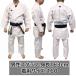 �yWKF���F�z�A�f�B�_�X ��蒅 ���� �N���u CLUB �㉺�Z�b�g �тȂ� �y�� �g��E�`���p K220C ryu �֘A�摜1