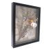 GraduationMall 28x35cm Shadow box рама дерево дисплей кейс,linen задний .6шт.@. палочка булавка,1.5 -дюймовые глубина 