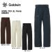 2026-27 GOLDWIN( goldwyn )GORE-TEX 2L Pants( Gore-Tex 2re year брюки )/ G36351[ лыжи брюки ][11 месяц поставка товара / ограниченное количество ][ скорейший предварительный заказ ]