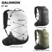 SALOMON( Salomon )XT20( X чай 20)[ высокий k/ Ran / cycle / путешествие ][2023/ рюкзак ]