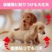 �� �� ���� �h�~ �t���[�����O�ی� ���̏��݂�h���e�[�v 10cm�~1.8�� �֘A�摜5