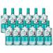 ������ �������� �T���g���[ �W���p�j�[�Y�W�� �� SUI 40�x 700ml�~12�{ gin_SUIG