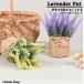  fake green Mini artificial flower interior lavender human work decorative plant stylish real cheap 