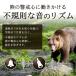 �F�� �F�J �Z�b�g �F�悯�� ���� �J���r�i�t�� �F���� ��펞 �ً} ���� �剹�� �֘A�摜2